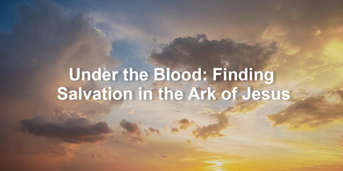 Under the Blood: Finding Salvation in the Ark of Jesus