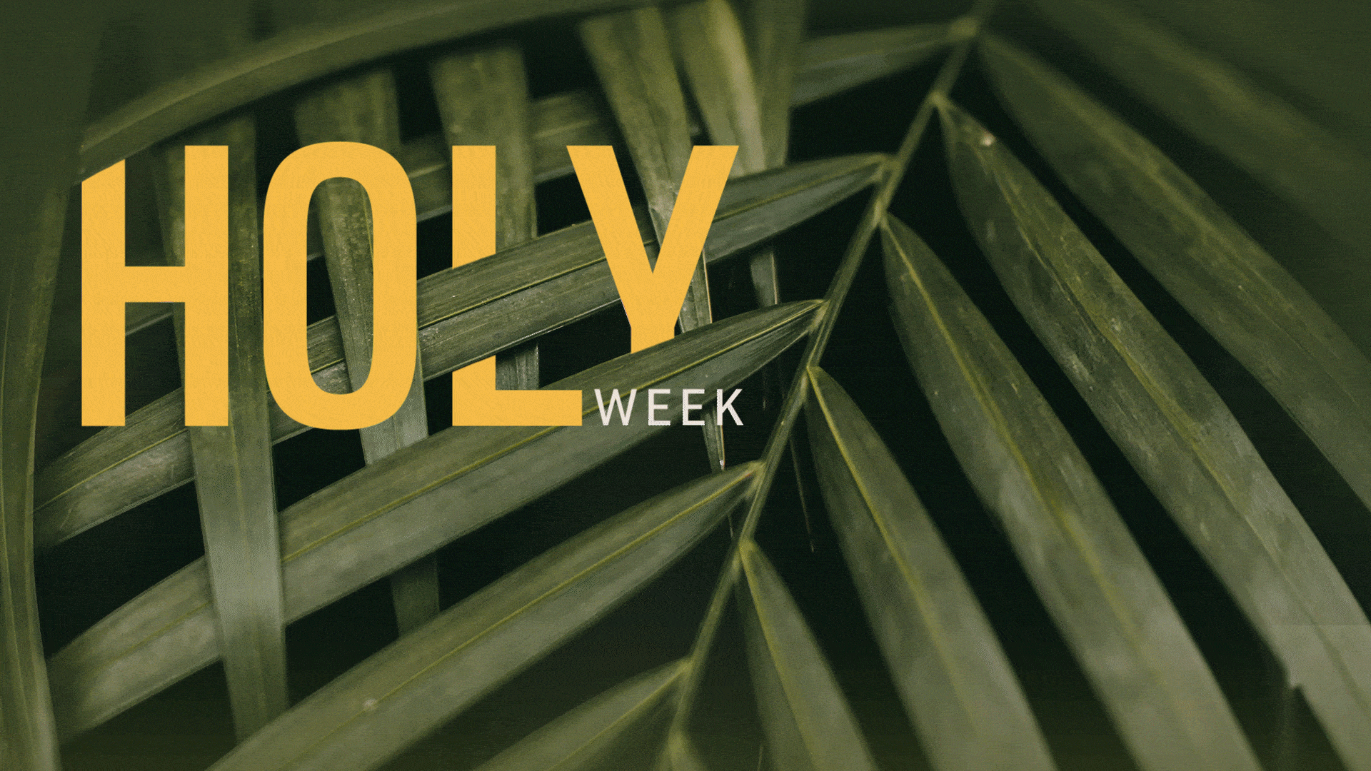 Holy Week Day Two AM