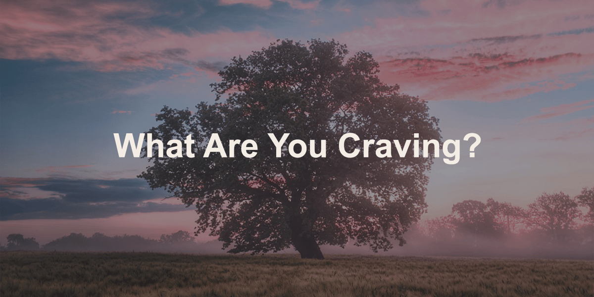 What Are You Craving?