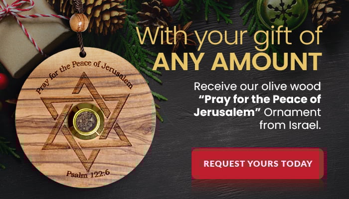 With your gift of any amount, receive our Olive Wood Ornament from Israel. 